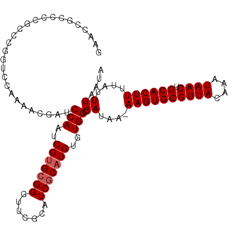secondary structure