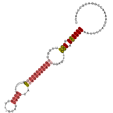secondary structure