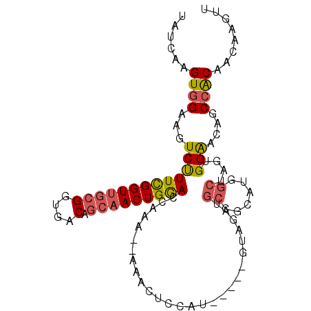 secondary structure