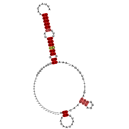 secondary structure