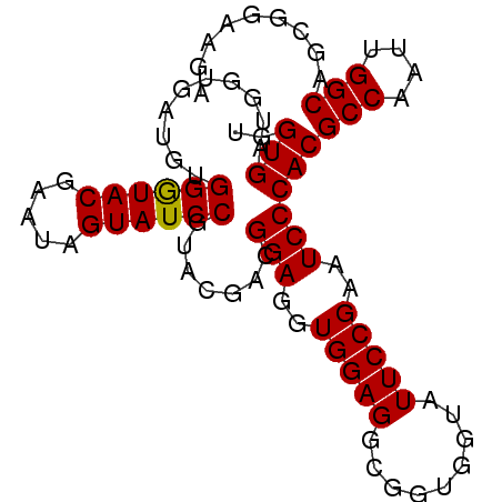 secondary structure