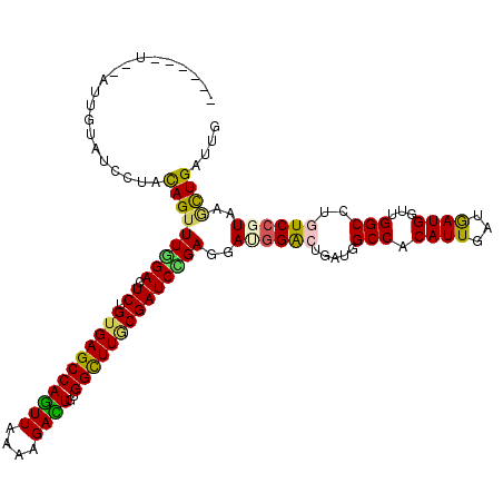 secondary structure