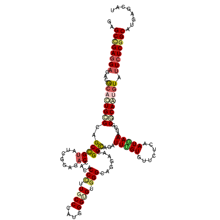 secondary structure