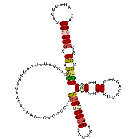 secondary structure