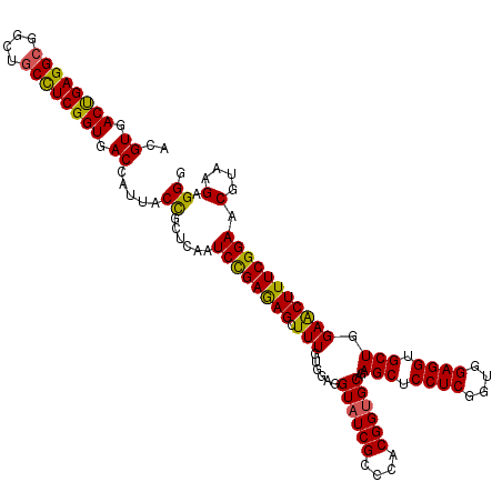 secondary structure