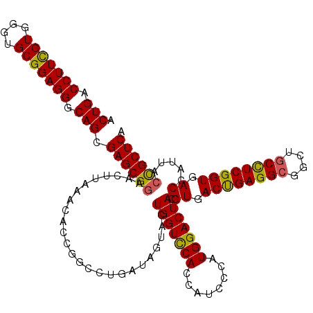 secondary structure