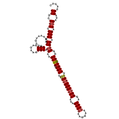 secondary structure