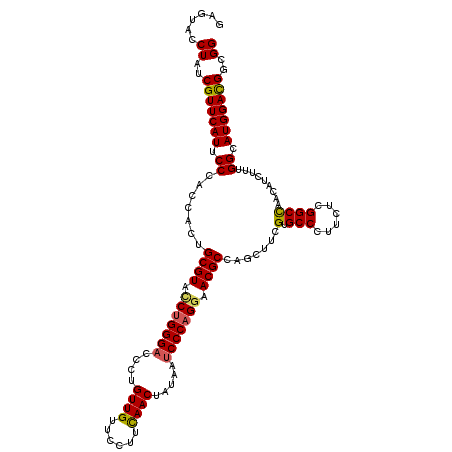 secondary structure