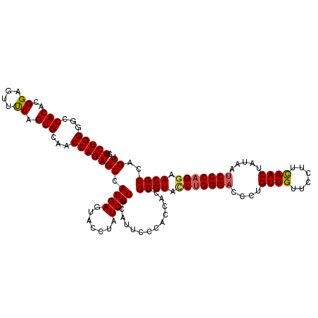 secondary structure