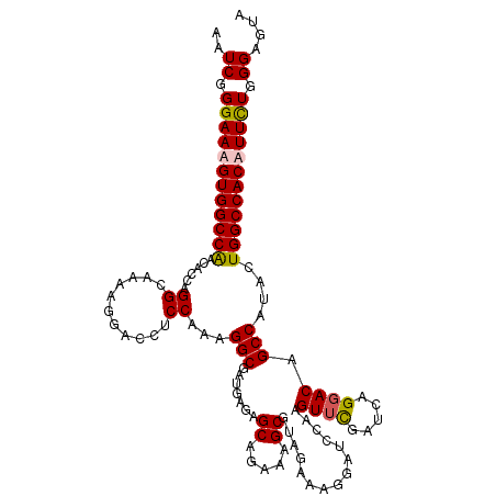 secondary structure