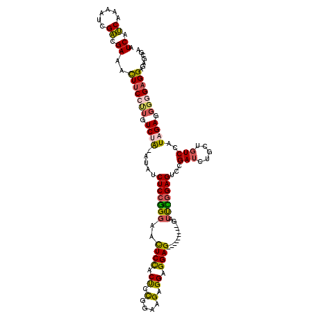 secondary structure