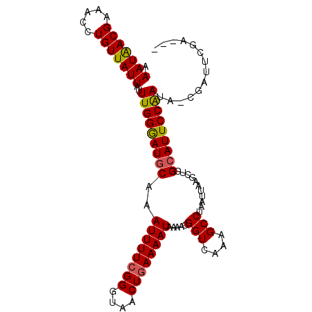 secondary structure