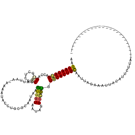 secondary structure