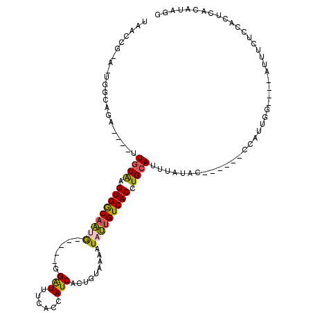 secondary structure