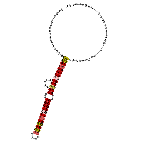secondary structure
