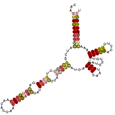 secondary structure