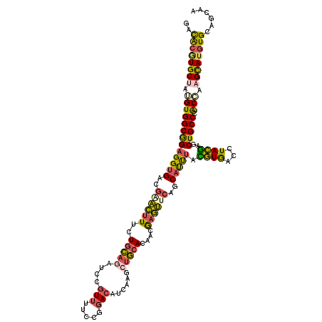 secondary structure