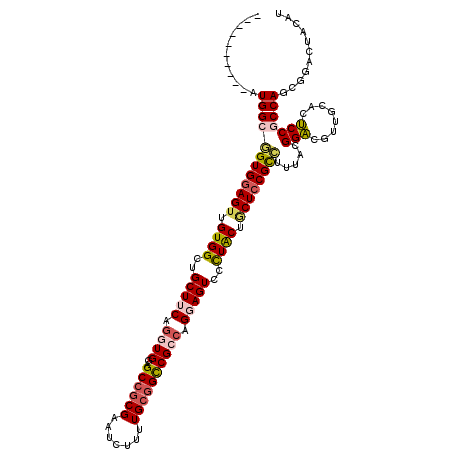 secondary structure