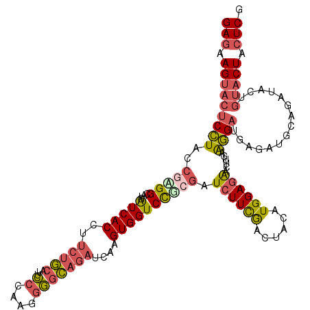 secondary structure