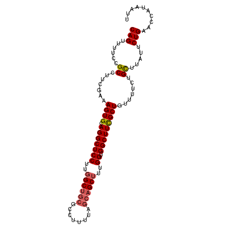 secondary structure