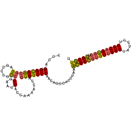 secondary structure