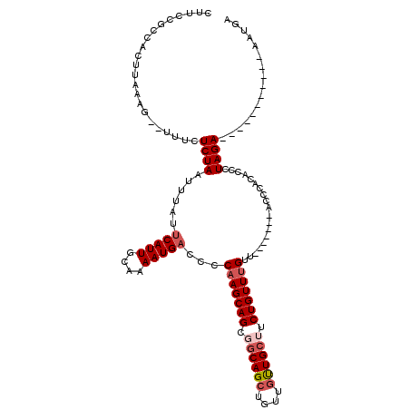 secondary structure