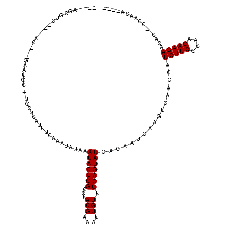 secondary structure