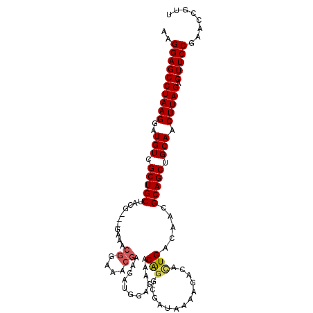 secondary structure
