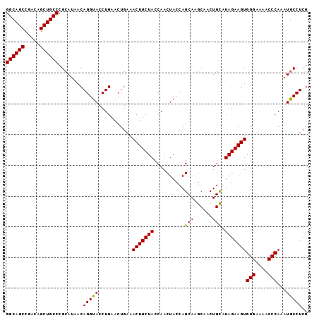 dotplot
