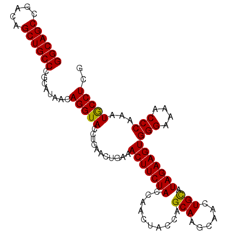 secondary structure