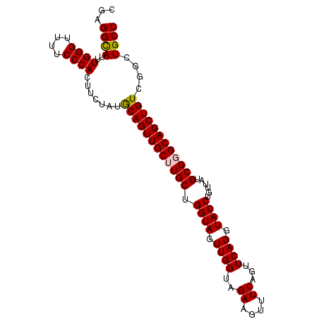 secondary structure