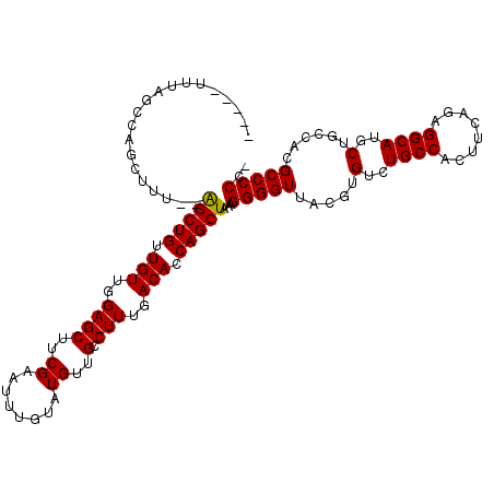 secondary structure