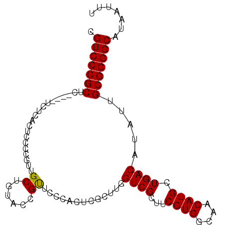 secondary structure