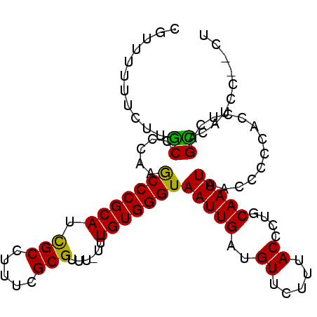 secondary structure
