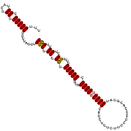 secondary structure