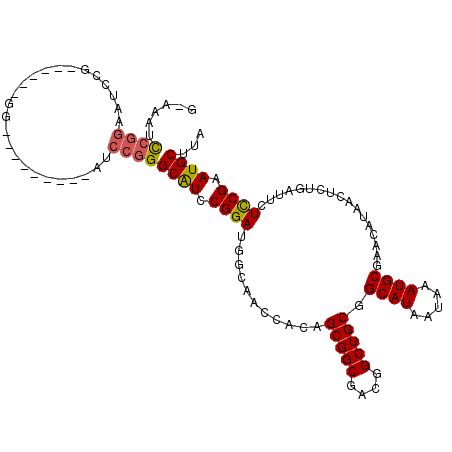 secondary structure