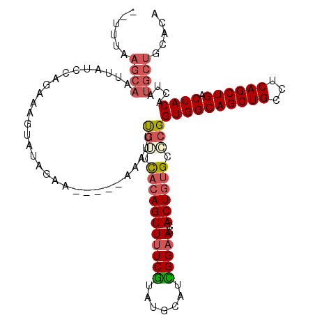 secondary structure