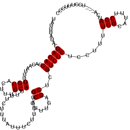 secondary structure