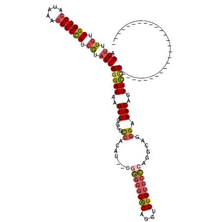 secondary structure