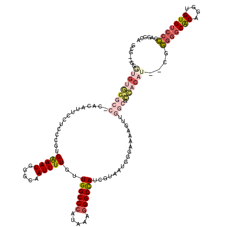 secondary structure