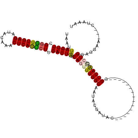 secondary structure