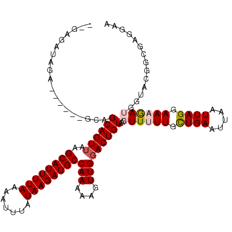 secondary structure