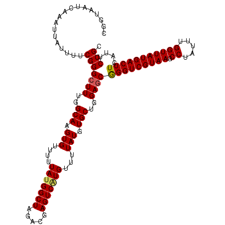 secondary structure