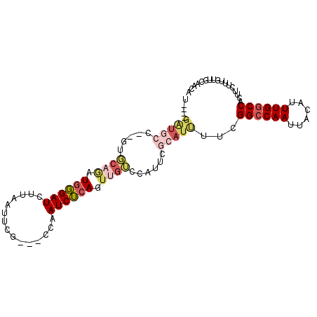secondary structure