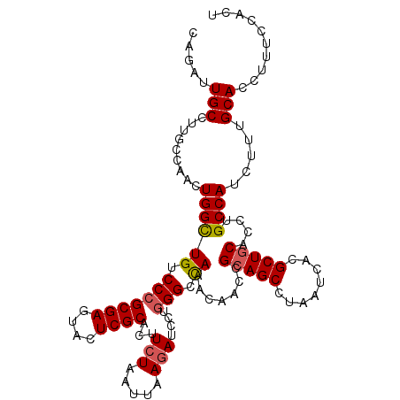 secondary structure