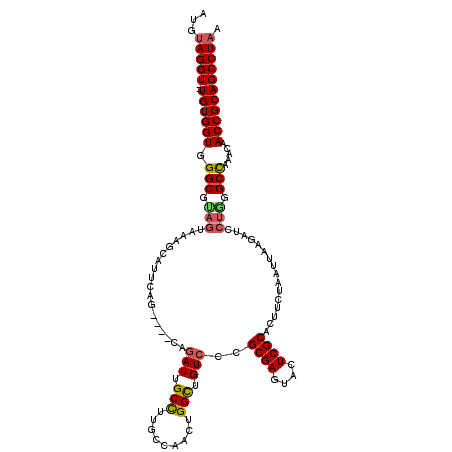 secondary structure