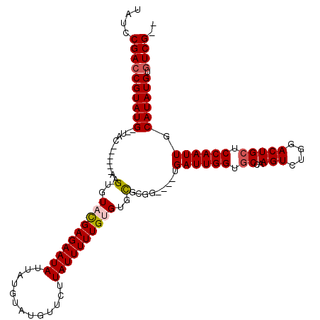 secondary structure