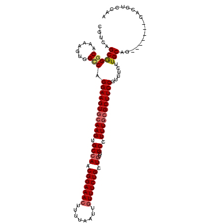 secondary structure