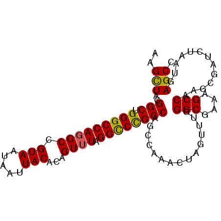 secondary structure