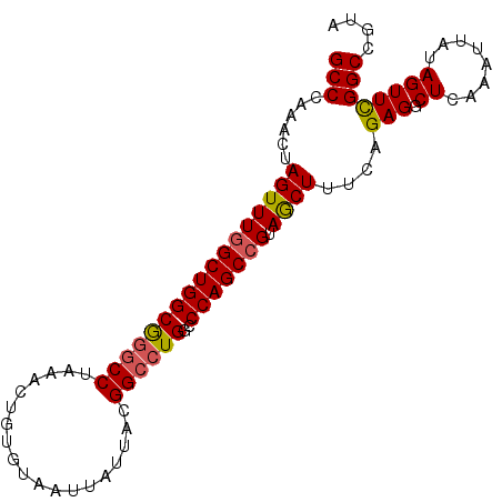 secondary structure